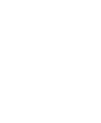 Veera Brave Girl